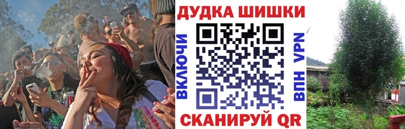 Купить  Чудово  Конопля ГИДРОПОН 